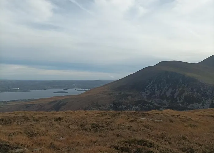 Daire Amy's Killarney