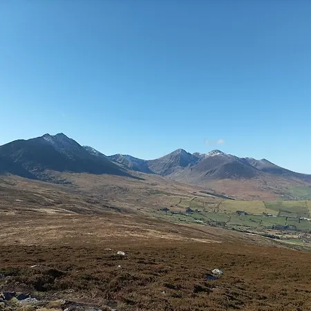 Amy's * Killarney